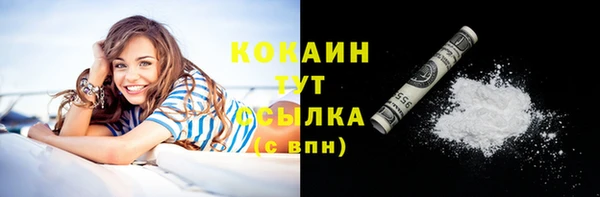 хмурый Богородск