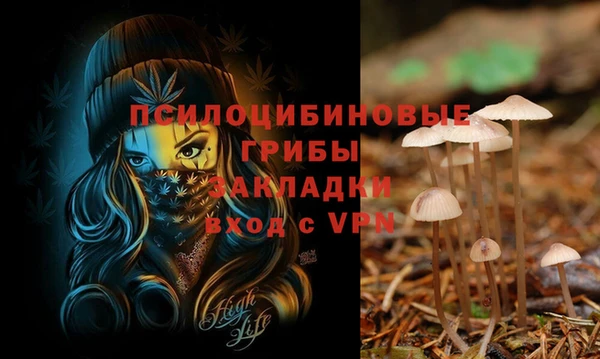 хмурый Богородск