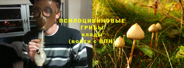трава Богданович