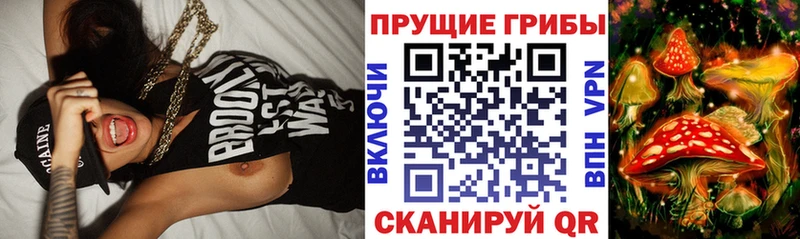 Купить где  Сосновка  Галлюциногенные грибы ЛСД 